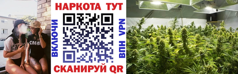 НБОМе Калтан