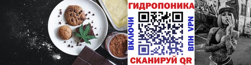 купить наркотики сайты  МЕГА как зайти  Cannafood марихуана  Калтан 