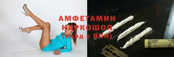 стафф Аркадак
