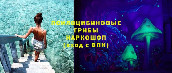 стафф Аркадак