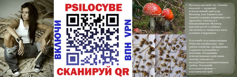 сколько стоит  Калтан  мега как зайти  Галлюциногенные грибы прущие грибы 